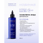 Ламелярна вода для волосся Master LUX professional EXPRESS GLOSS (EКСПРЕС БЛИСК) 200 ml